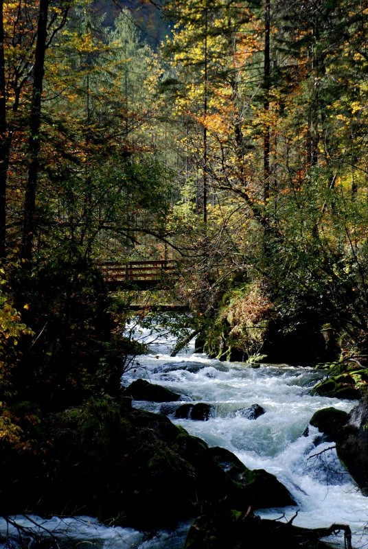 zobacz camping - zdjęcie 3