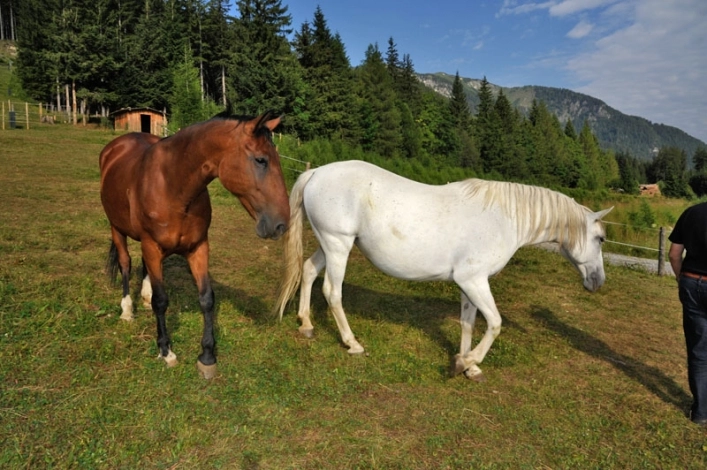 zobacz camping - zdjęcie 21