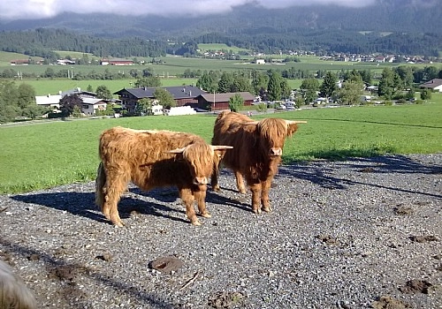 zobacz camping - zdjęcie 23