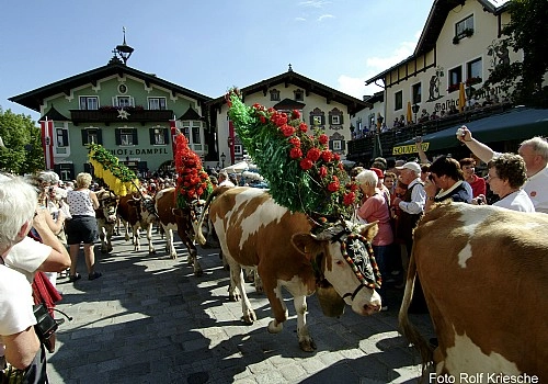 zobacz camping - zdjęcie 10