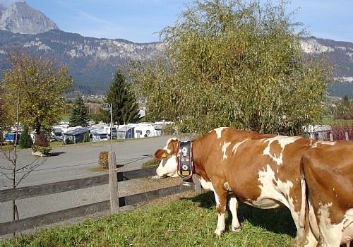 zobacz camping - zdjęcie 7