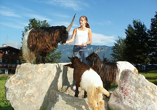 Camping Michelnhof - zdjęcie 1