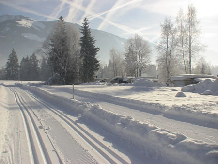 zobacz camping - zdjęcie 15