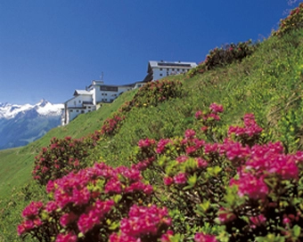 zobacz camping - zdjęcie 12