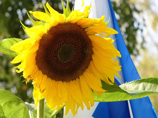 zobacz camping - zdjęcie 10