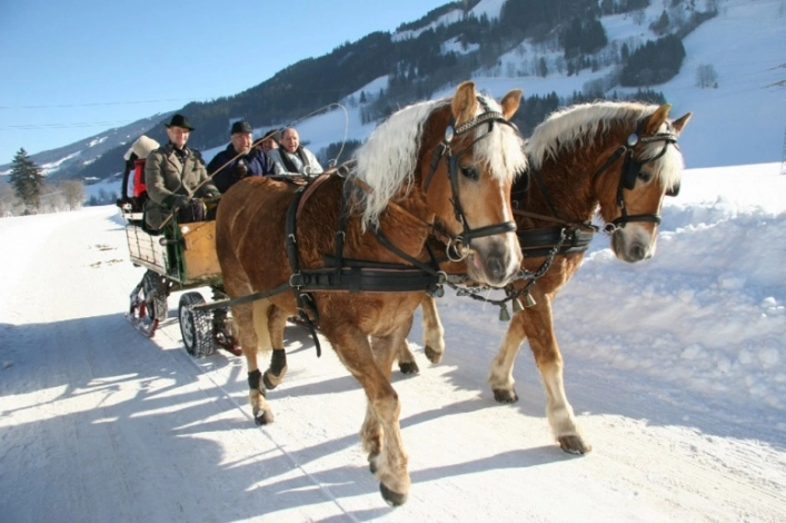 zobacz camping - zdjęcie 8