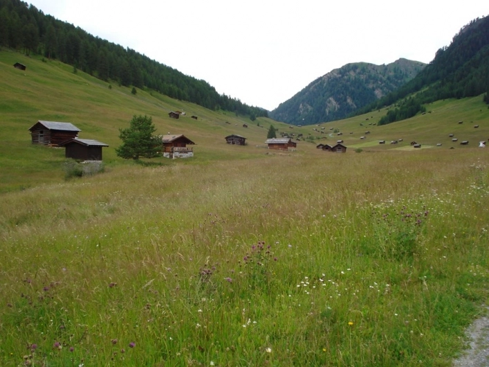 zobacz camping - zdjęcie 8