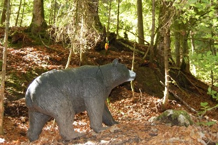 zobacz camping - zdjęcie 11