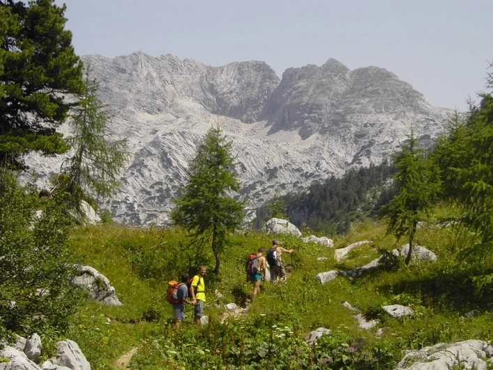 zobacz camping - zdjęcie 11