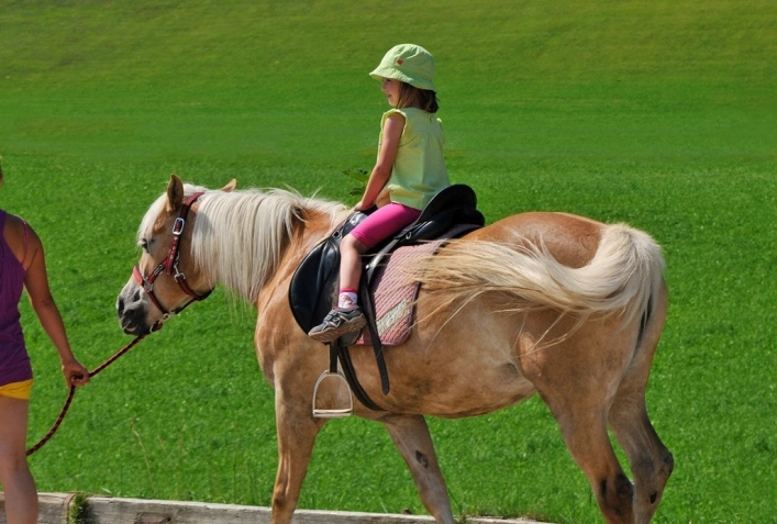 zobacz camping - zdjęcie 23