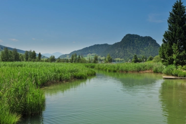 Camping Seemühle - zdjęcie 2