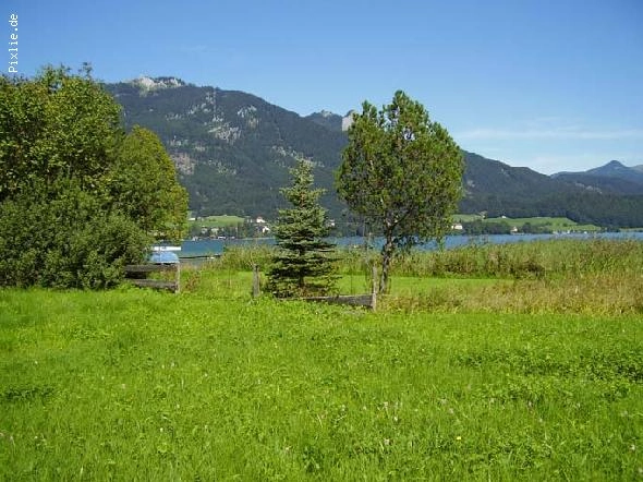 zobacz camping - zdjęcie 15