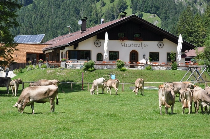 zobacz camping - zdjęcie 15