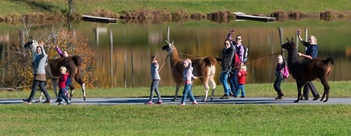 zobacz camping - zdjęcie 5