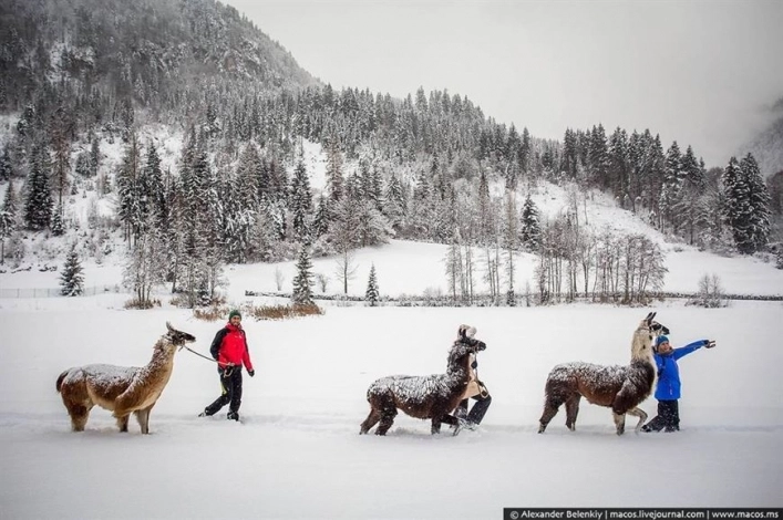 Camping Steinplatte - zdjęcie 3