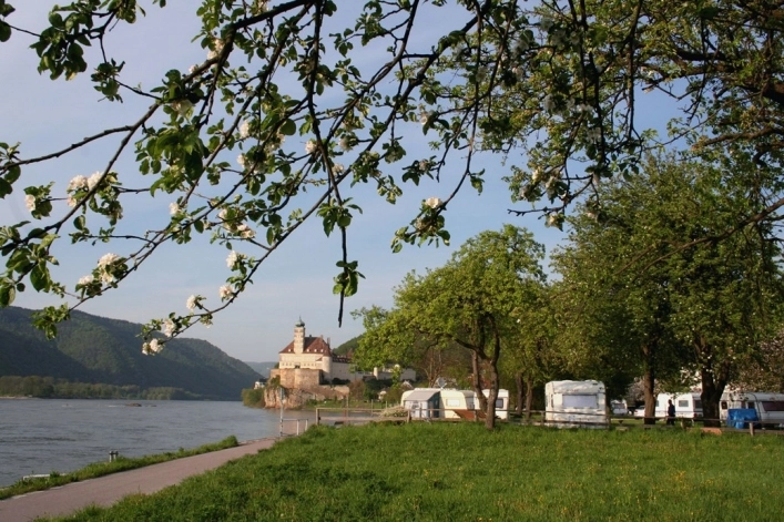 zobacz camping - zdjęcie 9