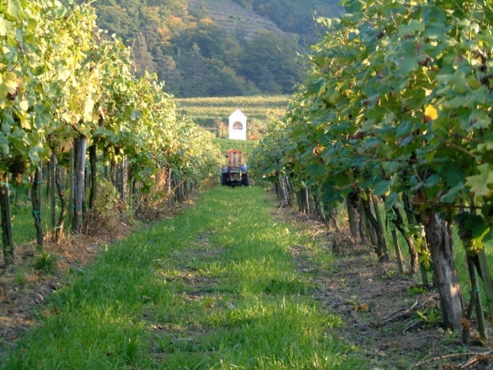 zobacz camping - zdjęcie 2