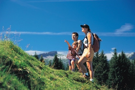 zobacz camping - zdjęcie 1