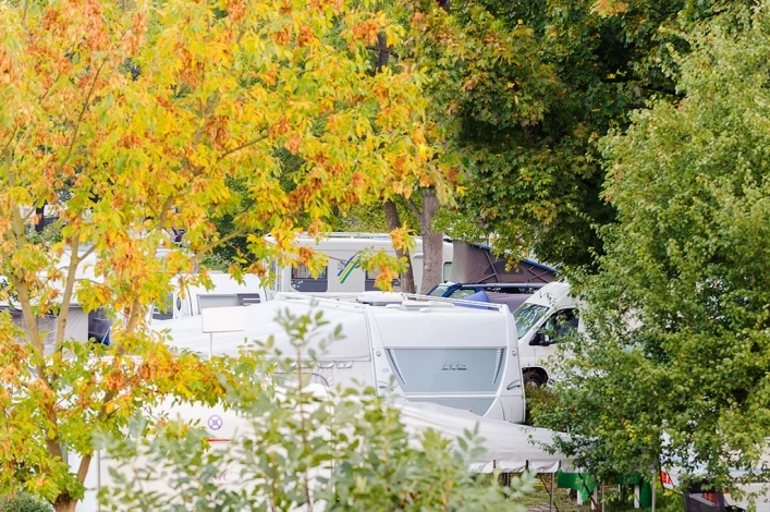 zobacz camping - zdjęcie 26