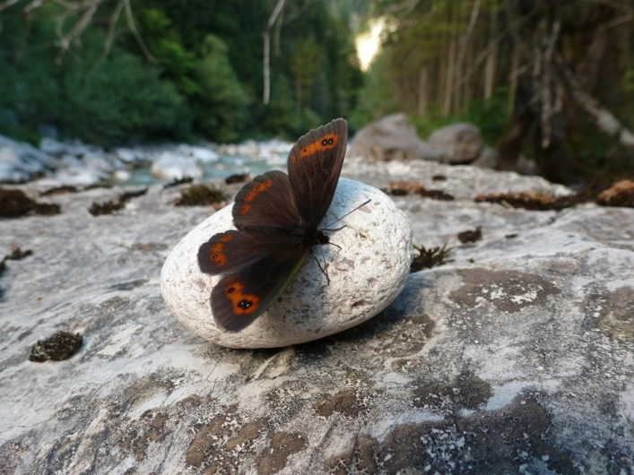 zobacz camping - zdjęcie 11