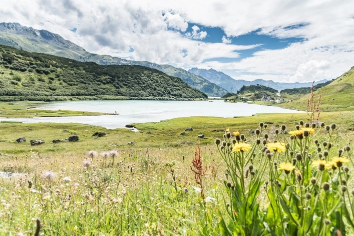 Camping Zeinissee - zdjęcie 4