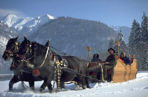 zobacz camping - zdjęcie 20