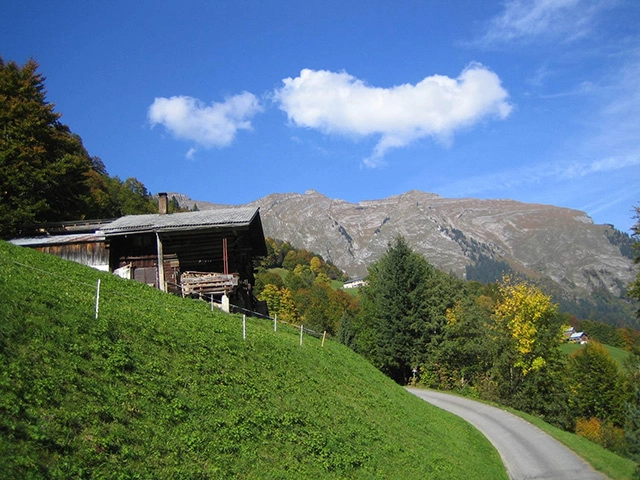 zobacz camping - zdjęcie 14