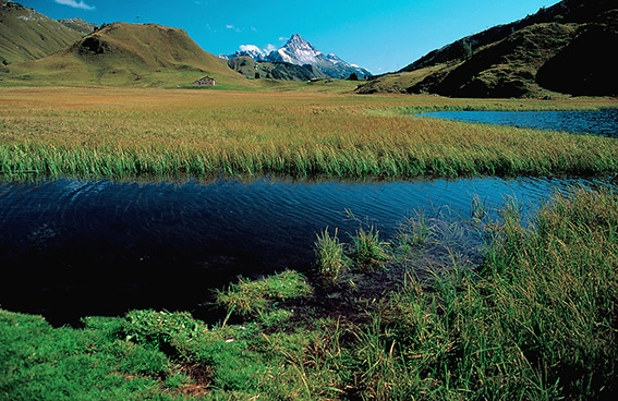 zobacz camping - zdjęcie 5