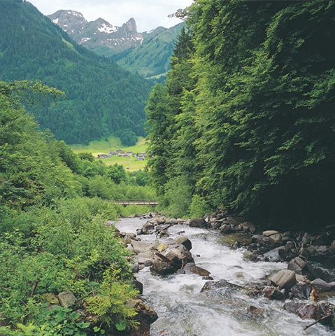 zobacz camping - zdjęcie 1