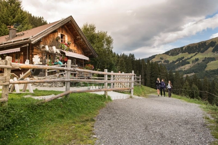 zobacz camping - zdjęcie 26