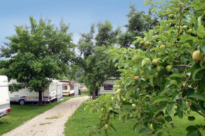 zobacz camping - zdjęcie 12