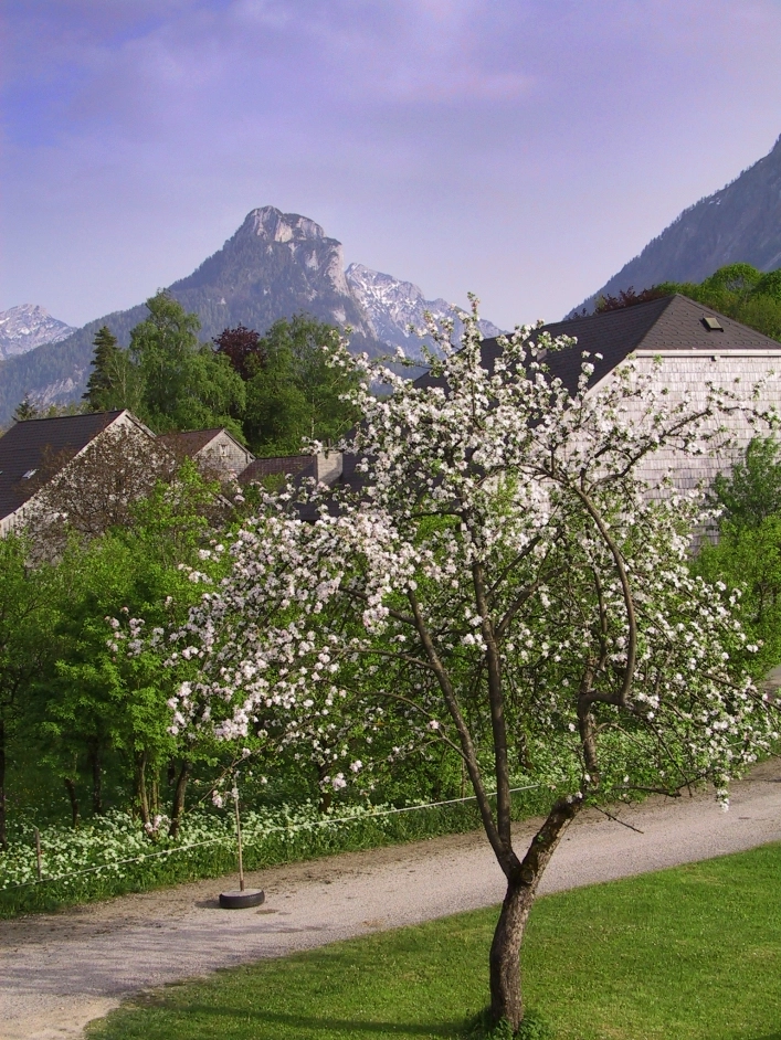 zobacz camping - zdjęcie 4