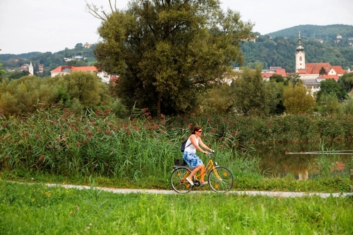 zobacz camping - zdjęcie 6