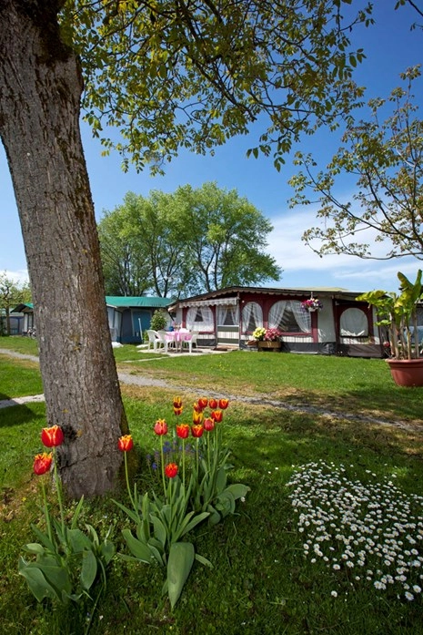 zobacz camping - zdjęcie 18