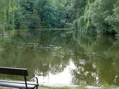 zobacz camping - zdjęcie 7