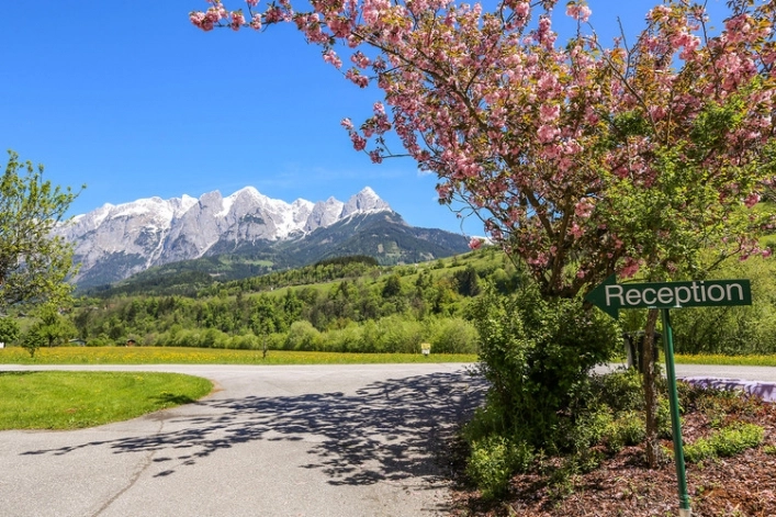 zobacz camping - zdjęcie 22