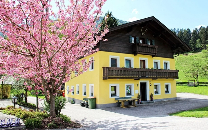 zobacz camping - zdjęcie 12