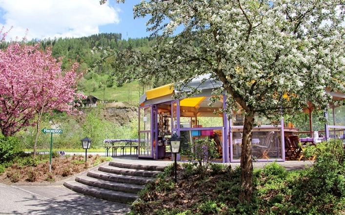 zobacz camping - zdjęcie 3