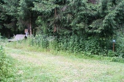 zobacz camping - zdjęcie 11