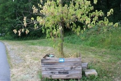 Campingplatz Wundschuher See - zdjęcie 1