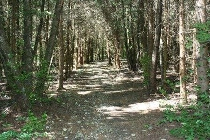 Campingplatz Wundschuher See - zdjęcie 1