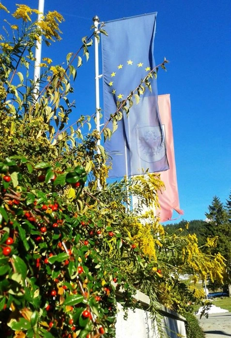 Comfortcamp Grän Tannheimertal - zdjęcie 4