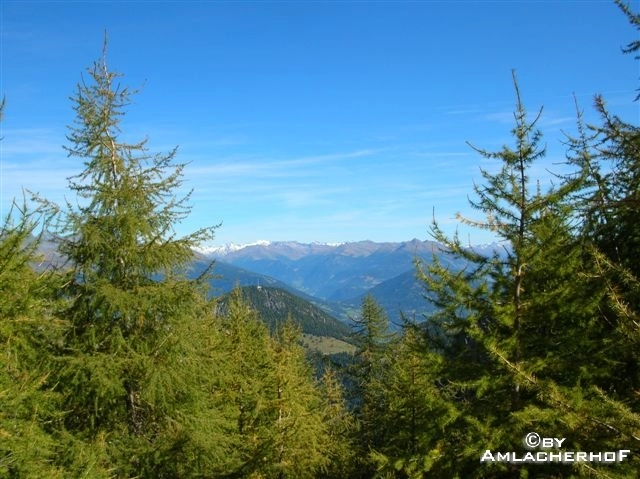 zobacz camping - zdjęcie 6