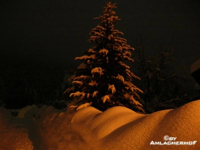 zobacz camping - zdjęcie 3