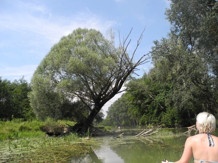 zobacz camping - zdjęcie 16