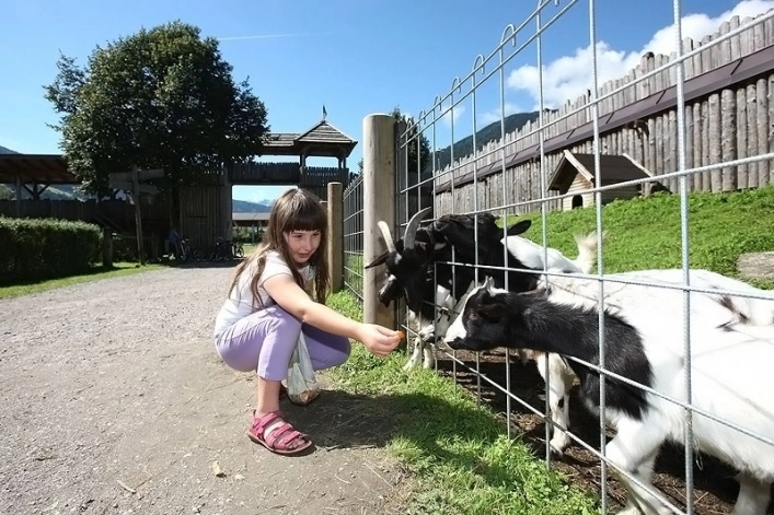 zobacz camping - zdjęcie 13