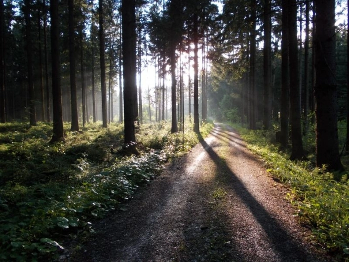 zobacz camping - zdjęcie 12