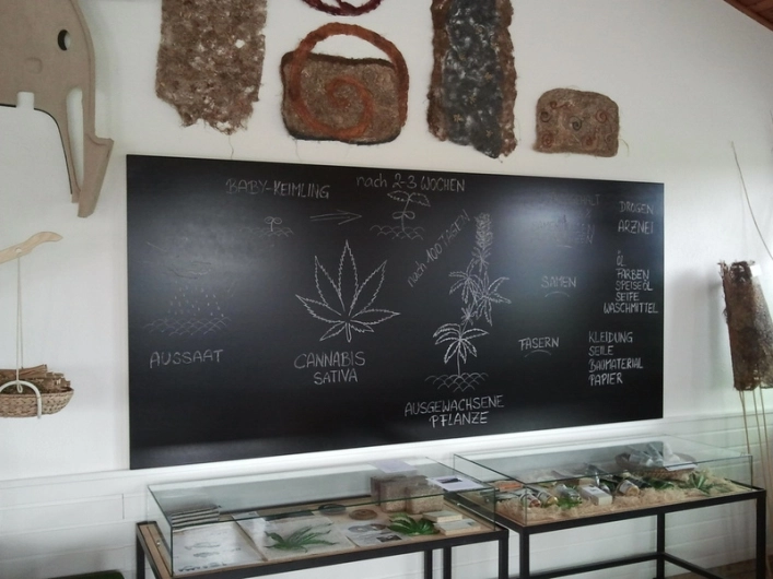 Haarstubencampingplatz Reingers - zdjęcie 4