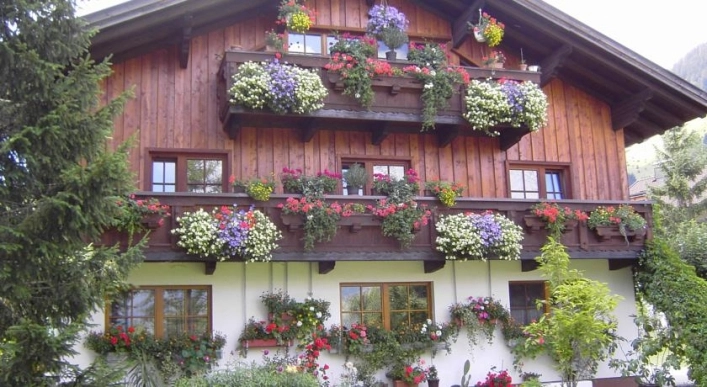 Happy Camp KG - zdjęcie 4