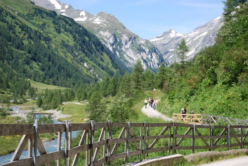 zobacz camping - zdjęcie 14